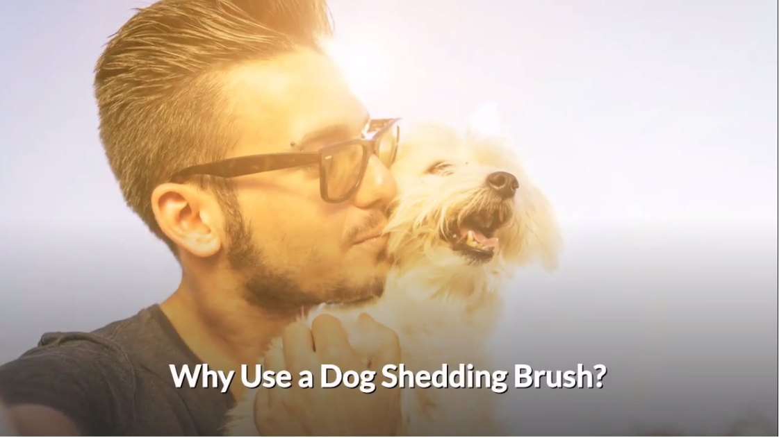 Best Pet Grooming Brush - Deshedding Tool For Dogs