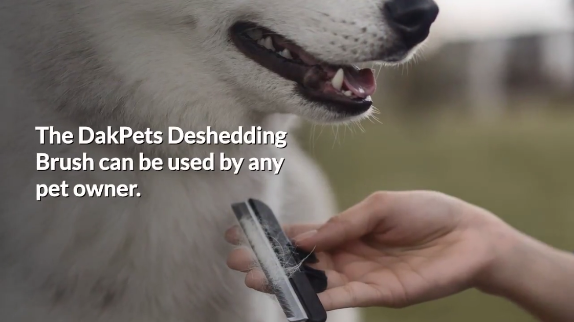 What Is A Deshedding Brush?