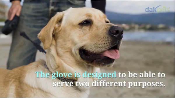 Using a Pet Grooming Glove
