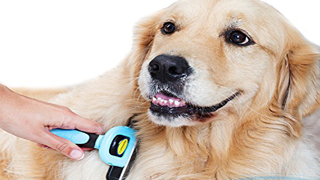 Best deshedding brush for golden retriever deals