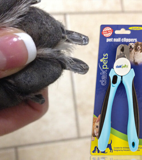 Owl Shape Cat Nail Clippers – Happy & Polly